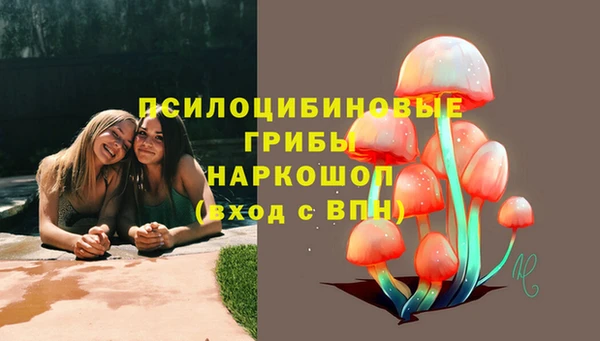 бошки Алзамай